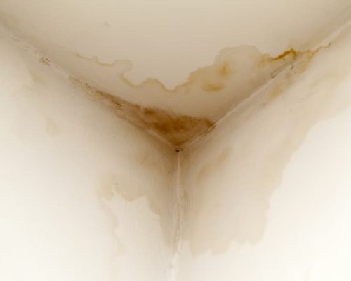 damp-proofing